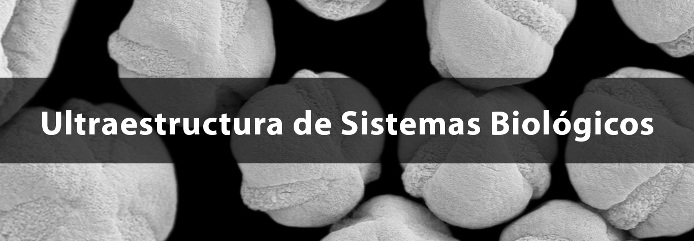 Portada 1